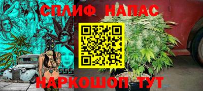 индика Усть-Илимск
