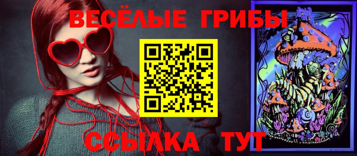 Галлюциногенные грибы Cubensis Морозовск