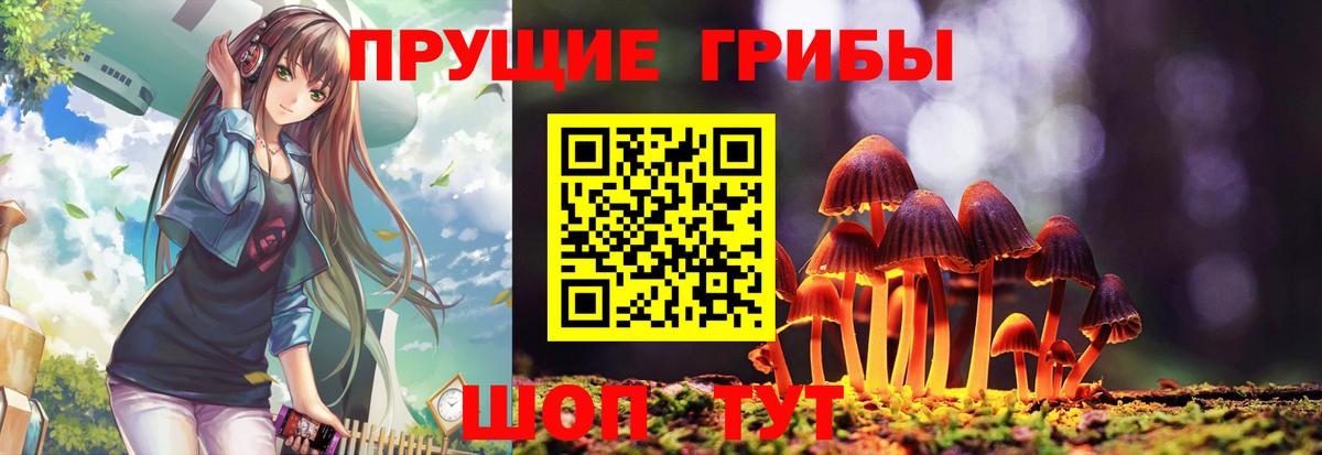 Морозовск  Галлюциногенные грибы MAGIC MUSHROOMS  Псилоцибиновые грибы мухоморы  где найти   Вход с VPN 